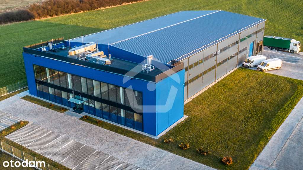 Hala produkcyjna z częścią biurową - 1871 m2 - Pełny obrazek: 5/13