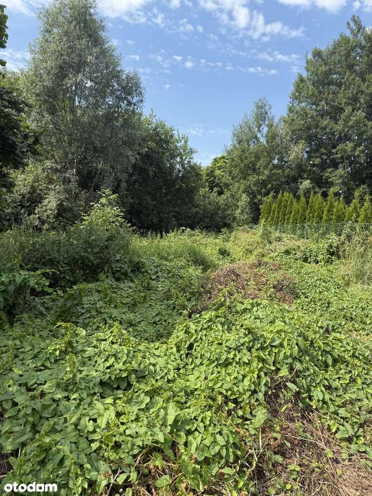 Działka, Kowale, ul. Sadowa-1