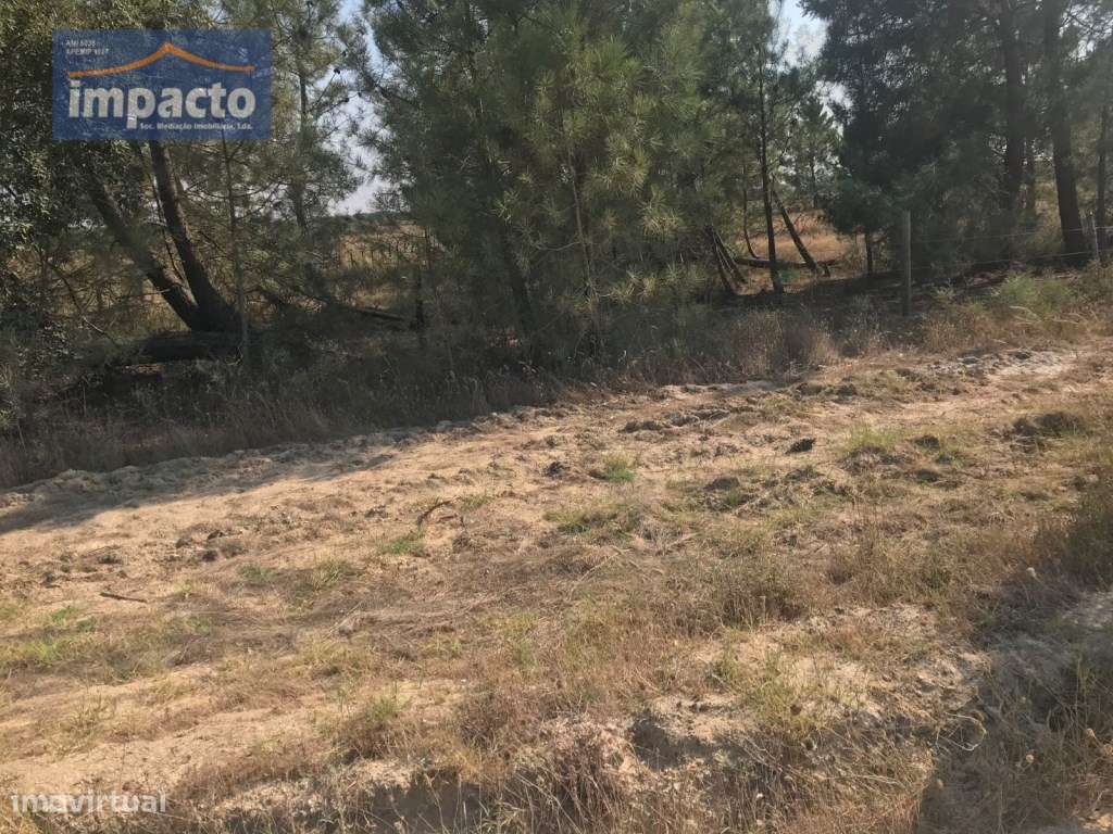 Terreno na Herdade do Zambujeiro - Grande imagem: 2/10
