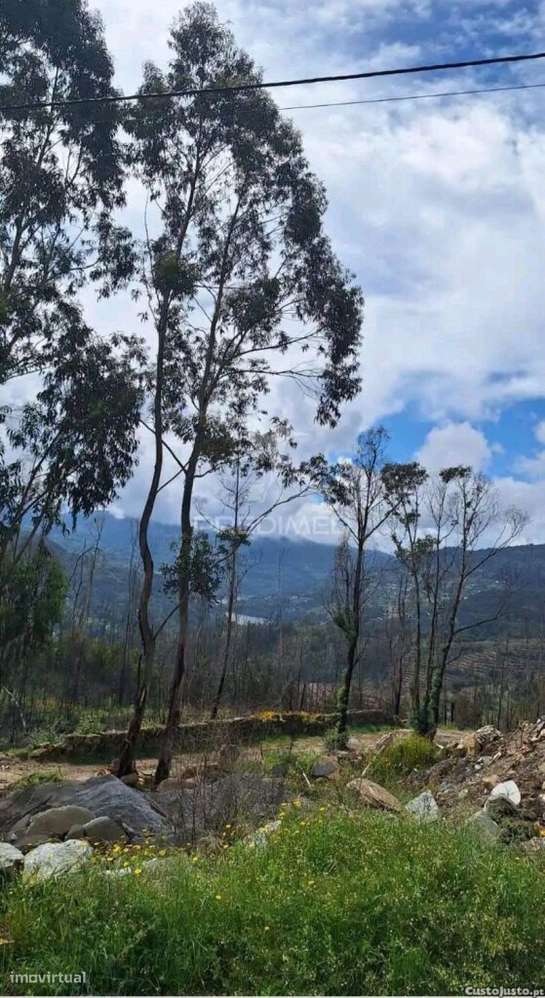 Terreno para construção em Balde Santa Leocádia-Baião com vistas pa... - Grande imagem: 4/6