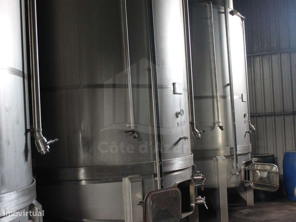 Adega Tradicional à Venda - Cabanas, Quinta do Anjo - Grande imagem: 4/18