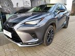 Lexus NX - 6