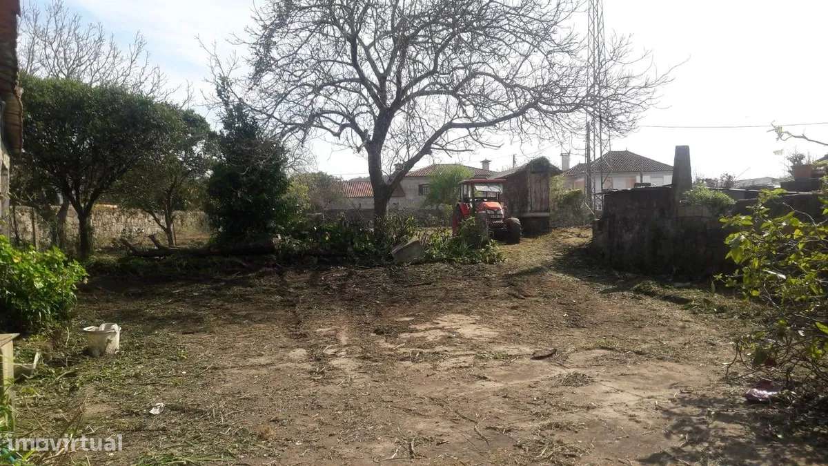 EDIFÍCIO EM CHAFÉ - Grande imagem: 4/5