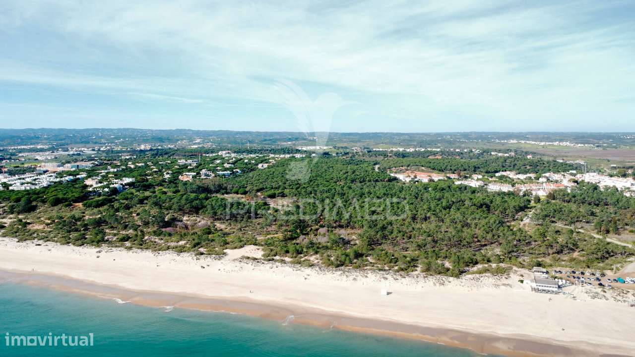 Terreno com 31.5ha com 500 metros de frente de praia - Grande imagem: 4/19