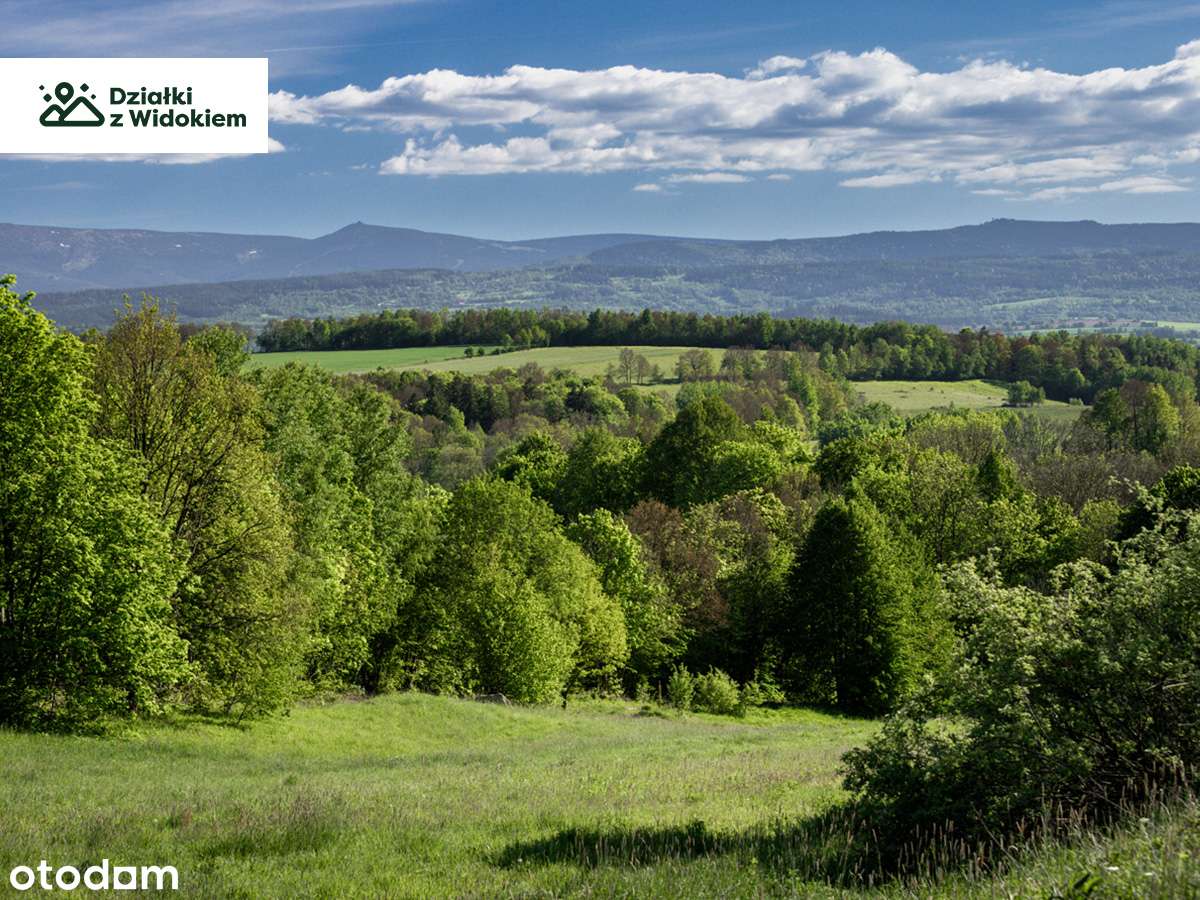 Pasiecznik - działka z pozwoleniem na budowę 10 min od Jeleniej Góry!-0