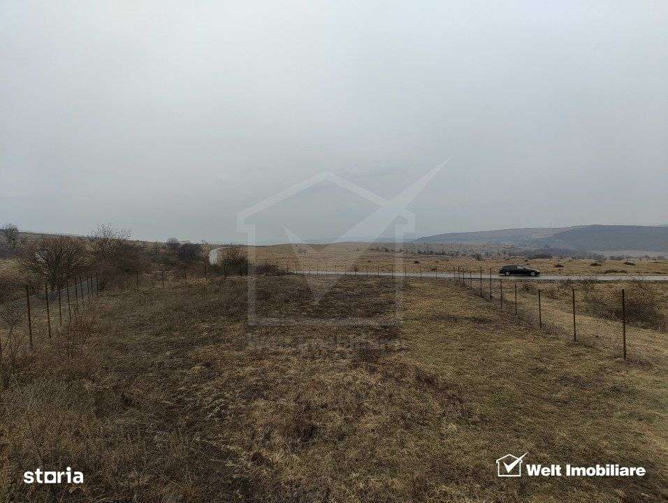 Teren intravilan in Chinteni – investitie (Necesita PUZ) - Imagine principală: 5/5