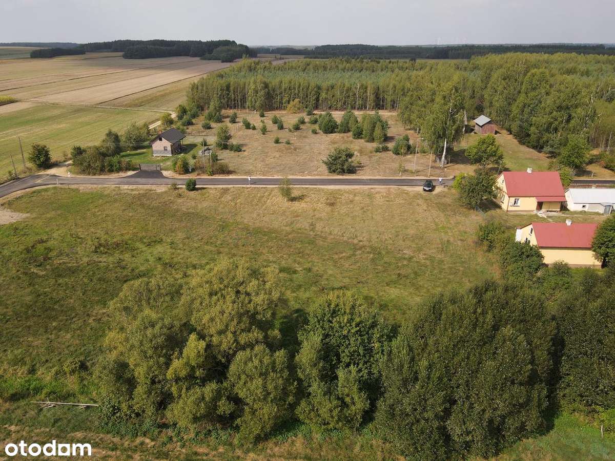 Grabowiec Dubicze Cerkiewne, dwie działki po 2591m2, .WZ Puszcza Bialo - Pełny obrazek: 5/20