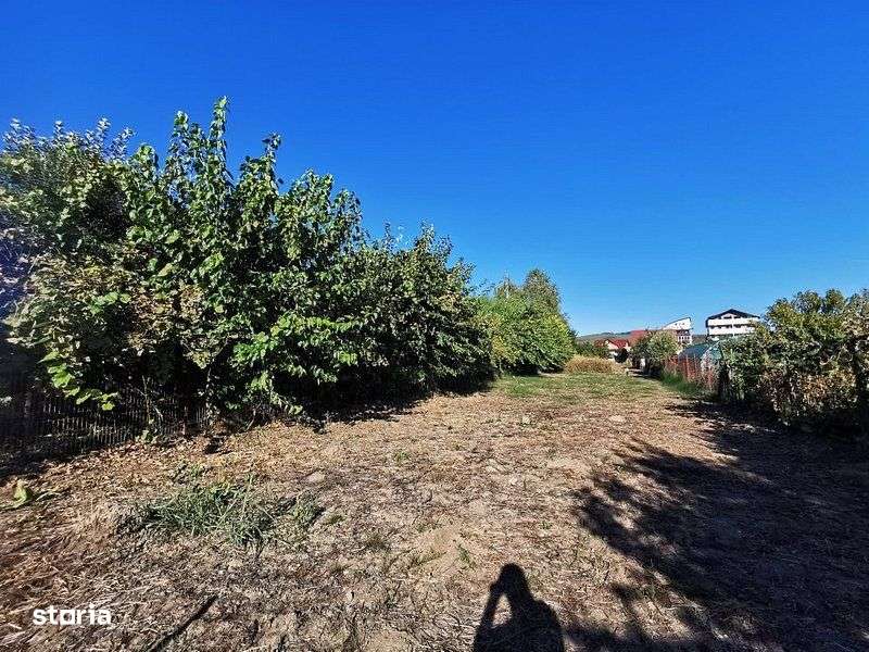 Teren de vanzare in zona Ostroveni-8