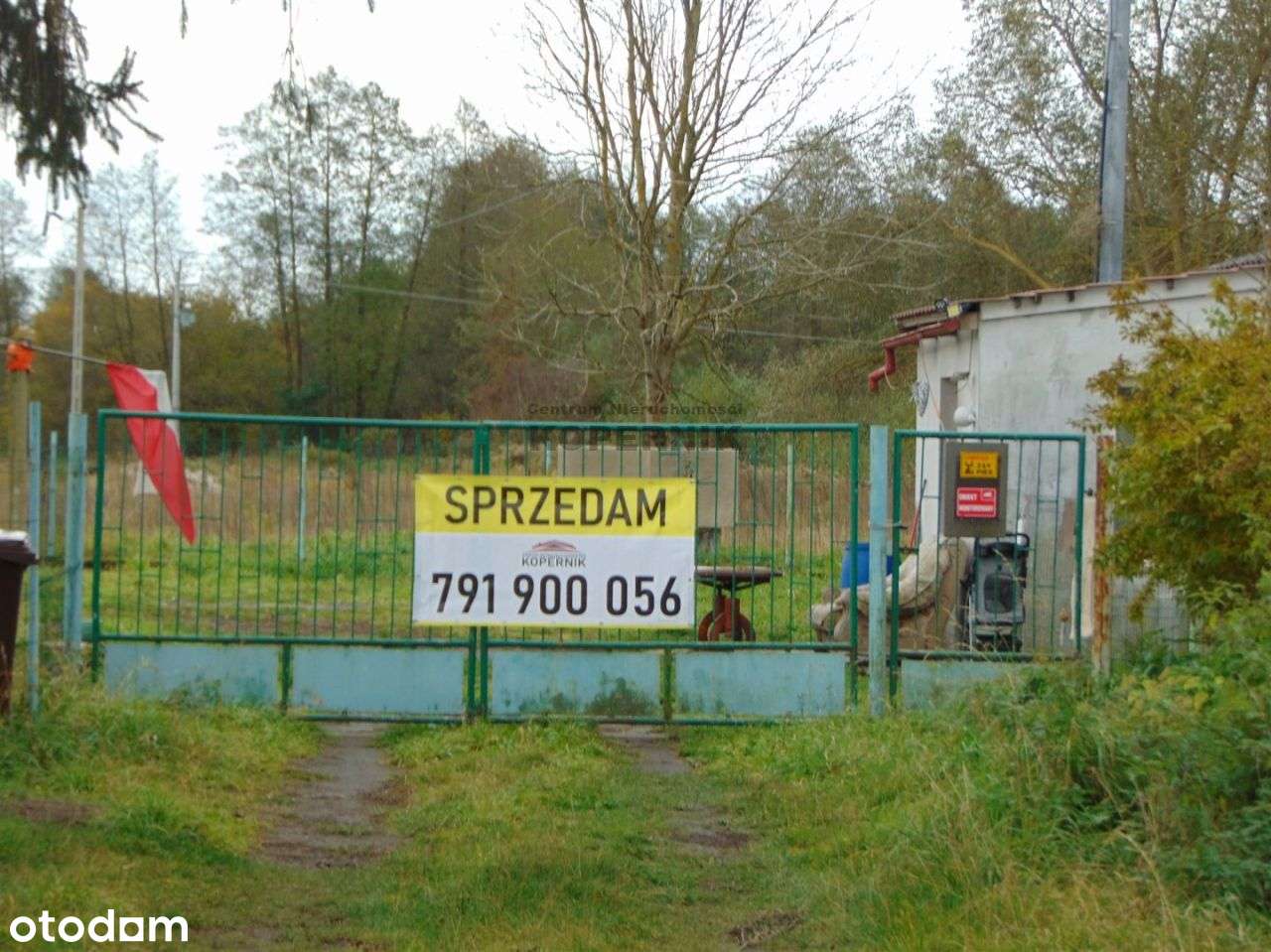 Siedlisko blisko Torunia!!!! - Pełny obrazek: 4/11