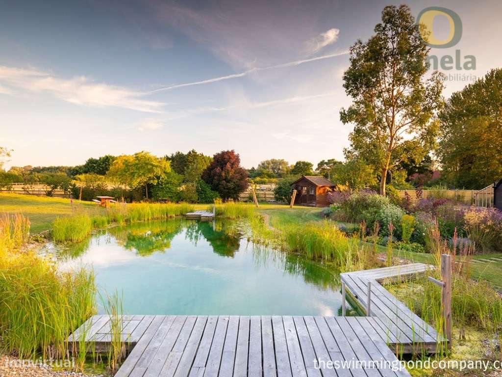 Terreno com viabilidade para Eco Resort - Grande imagem: 2/9