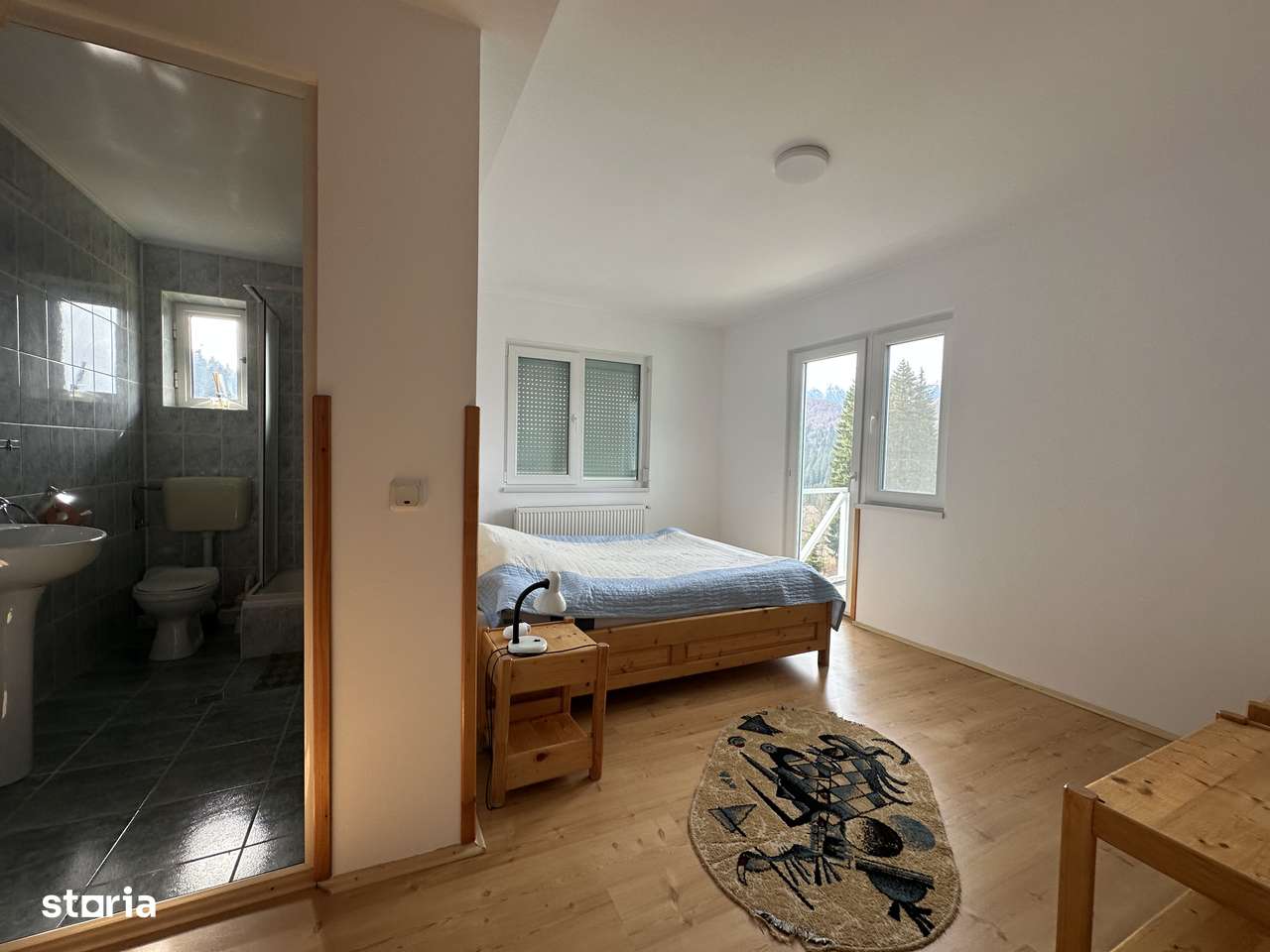 Agentia imobiliara VIGAFON vinde pensiune-casa de vacanta Predeal-16