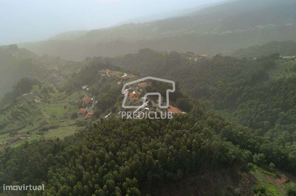 Terreno - Sta Cruz - Grande imagem: 5/9