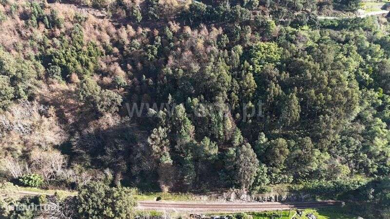 Terreno / Baião, Baião (Santa Leocádia) e Mesquinhata - Grande imagem: 5/9