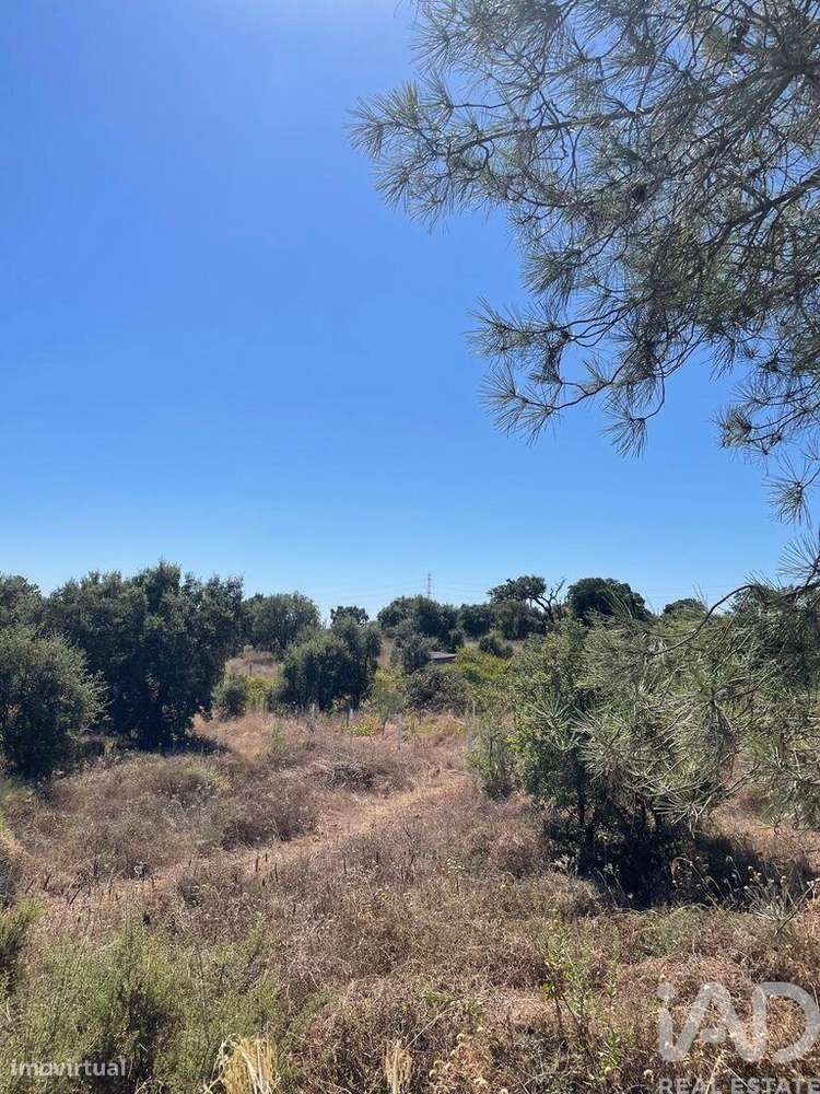 Terreno em Palmela - Grande imagem: 4/6