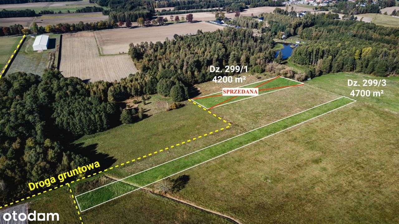 Działa rolna (łąka) 4700 m², Żebrak, gm. Skórzec - Pełny obrazek: 5/7