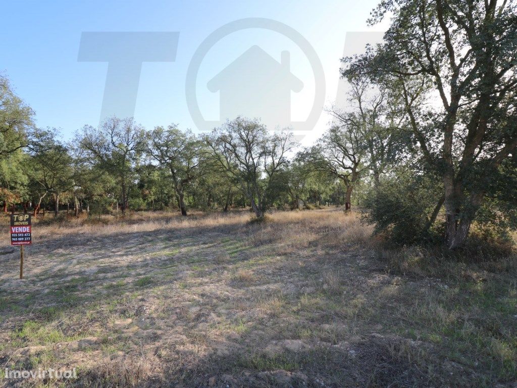 Terreno 1006m2 - Foros de Salvaterra - 60.000€