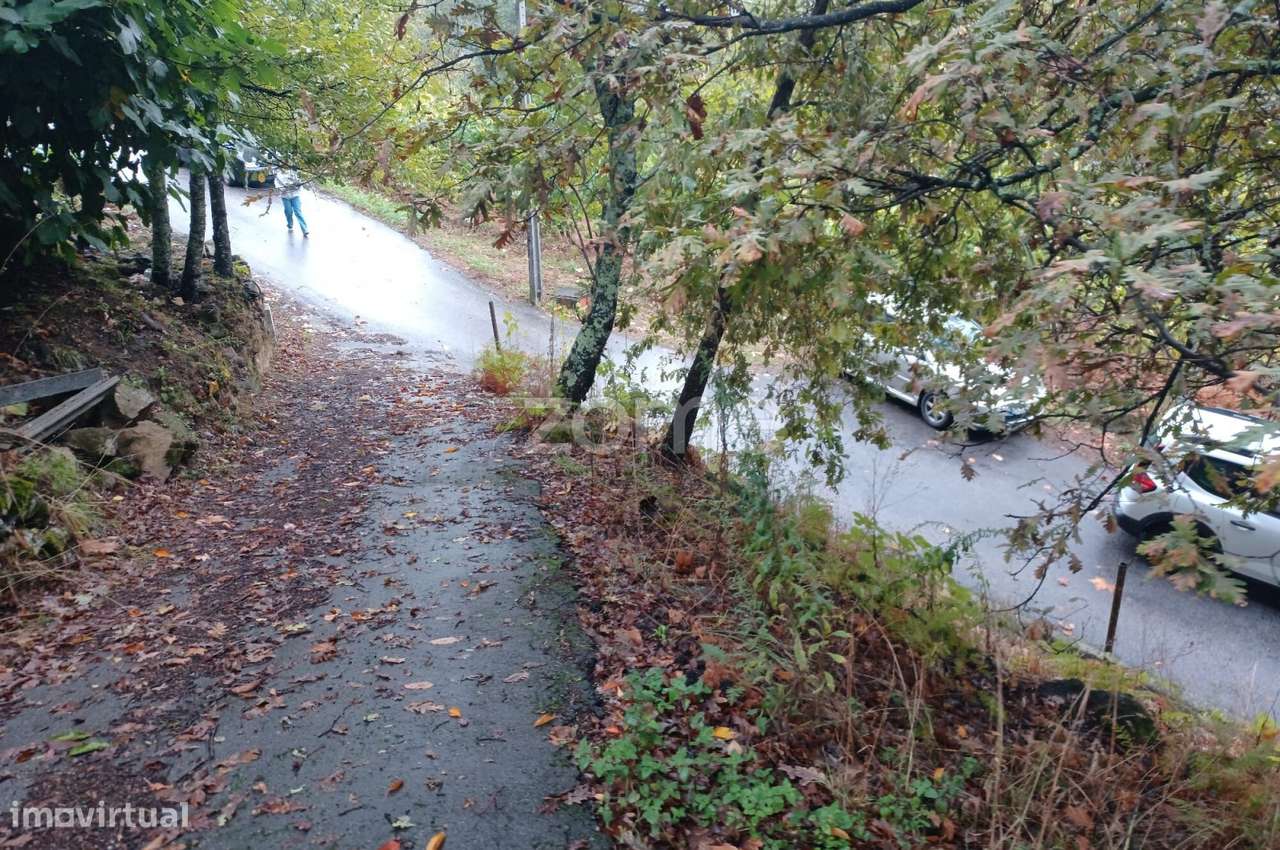 Oportunidade Única: 2 Artigos Urbanos para Obras + 3 Terrenos-Alvite-11