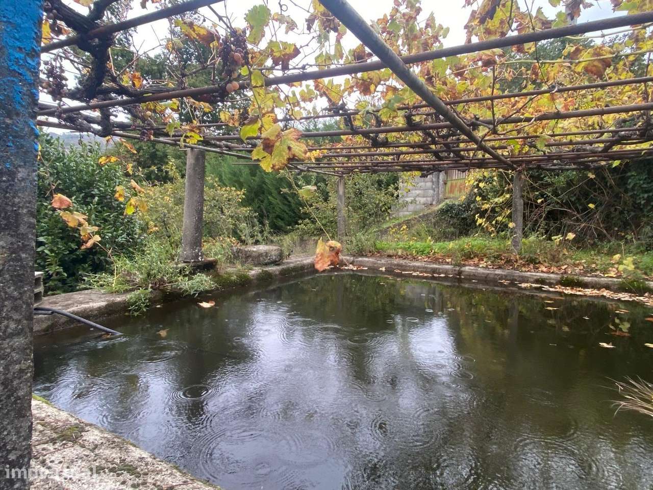 Terreno em Cortes do Meio - Covilhã - Grande imagem: 2/9