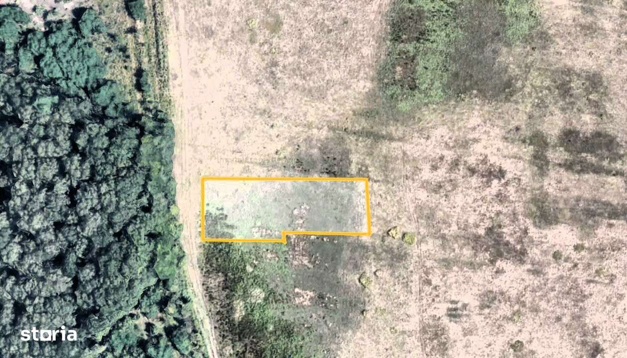 Teren Voluntari Padurea Baneasa-0