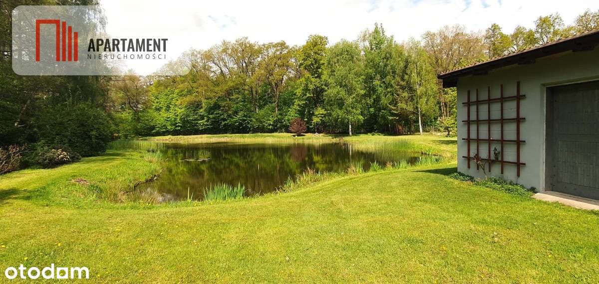 Dom z potencjałem na dużej działce! - Pełny obrazek: 5/17