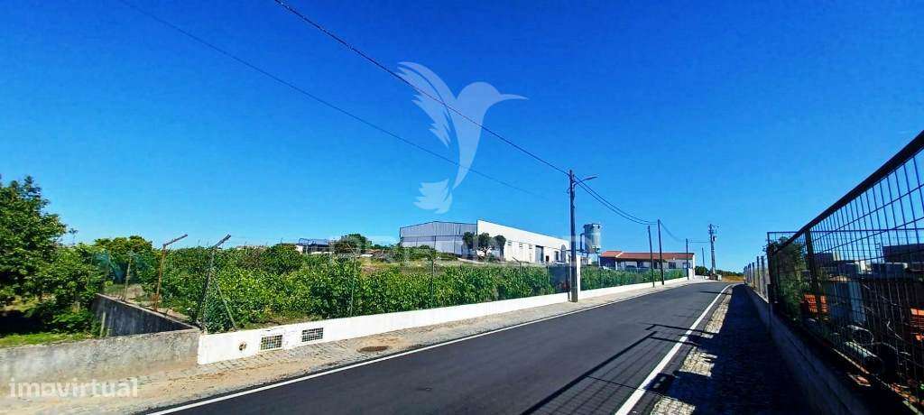 Imóvel Industrial (Carpintaria) - Grande imagem: 2/25