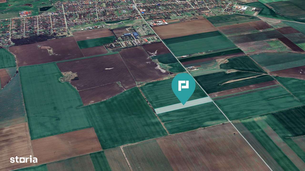 Teren 30.000 mp cu acces asfaltat – Peciu Nou - Imagine principală: 4/4