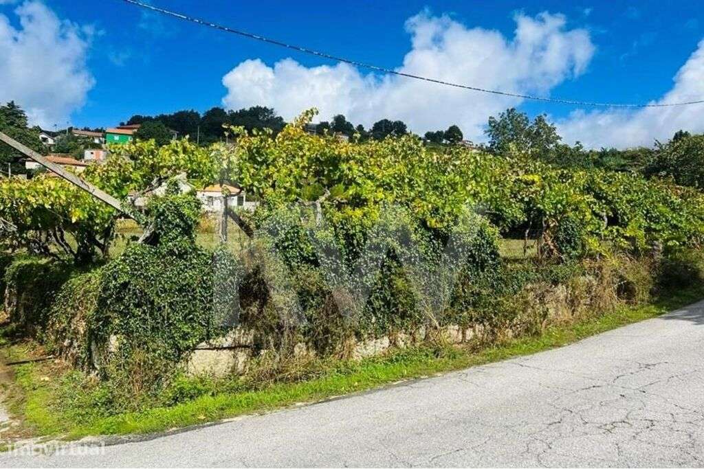 Terreno 2600 em Gestaçô com 3800m2, situado em Baião - Grande imagem: 3/20