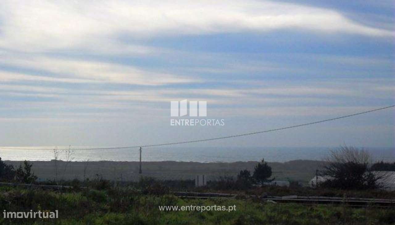 Terreno - Carreço - Grande imagem: 5/30