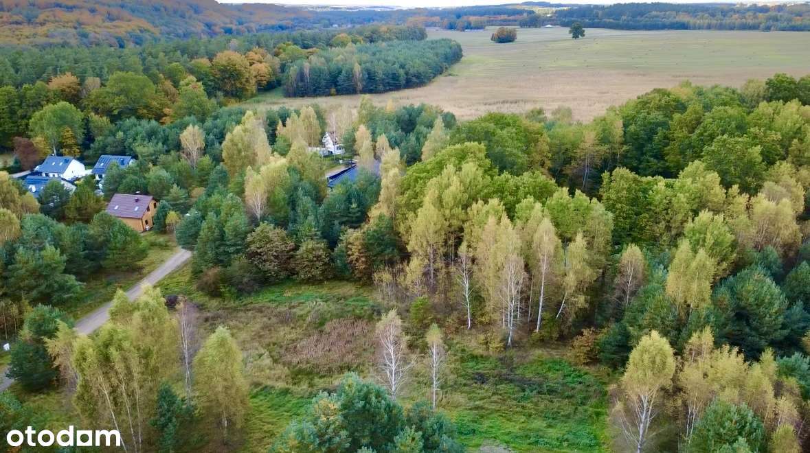 Zamieszkaj wśród zieleni! Urokliwa działka z drzewami – Czerniewo - Pełny obrazek: 4/5
