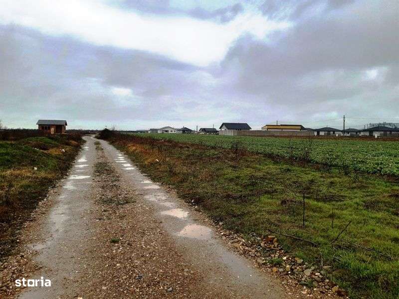 TEREN pt casa intravilan cu PUZ 620 mp in SANTANDREI la sosea asfalta - Imagine principală: 3/12