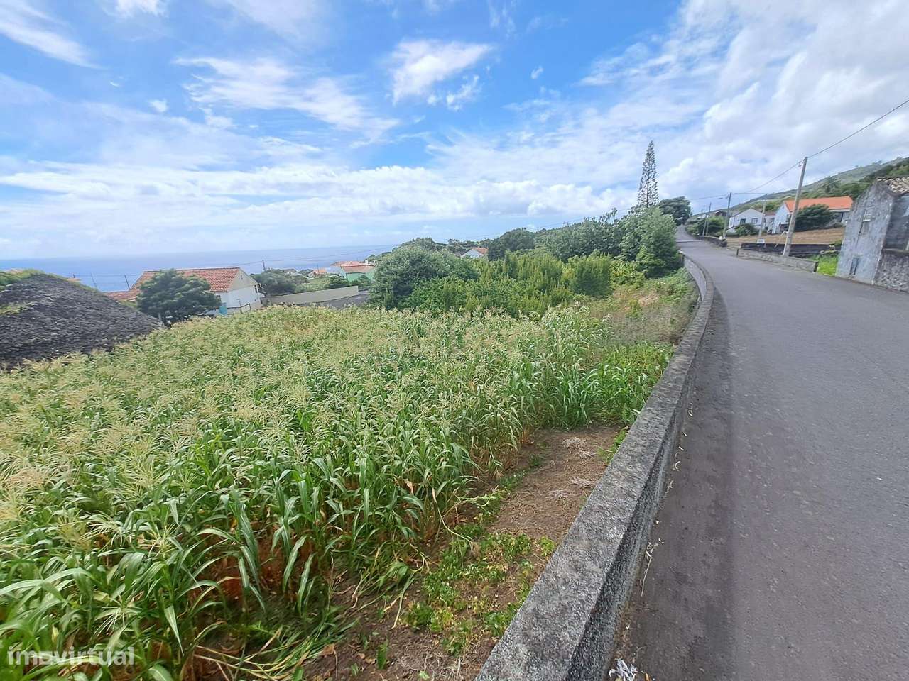 Terreno, 1 936 m², São Mateus - Grande imagem: 2/8