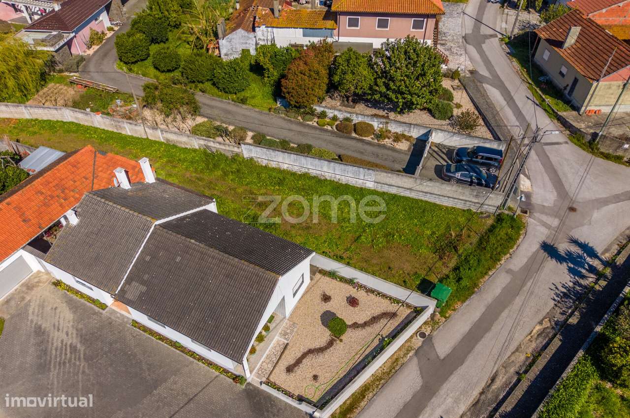 Terreno rústico – Souto da Carpalhosa - Grande imagem: 3/23