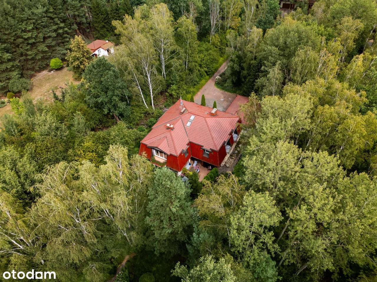 unikatowy ogród | otoczenie lasu | podkowa leśna-7