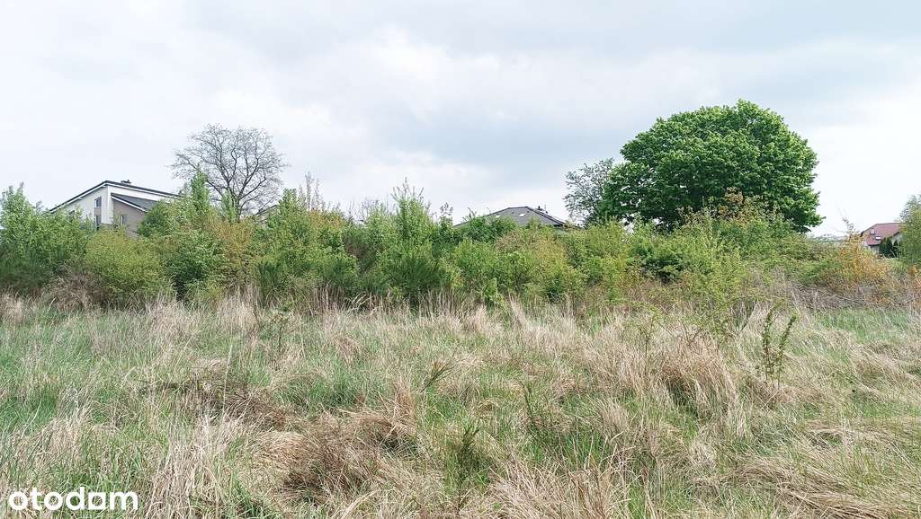 Piękna działka budowlana w super cenie! - Pełny obrazek: 3/4