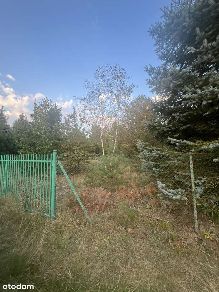 Działka rekreacyjna nad Jeziorem Krasnym – cisza, las i jezioro - Pełny obrazek: 5/6