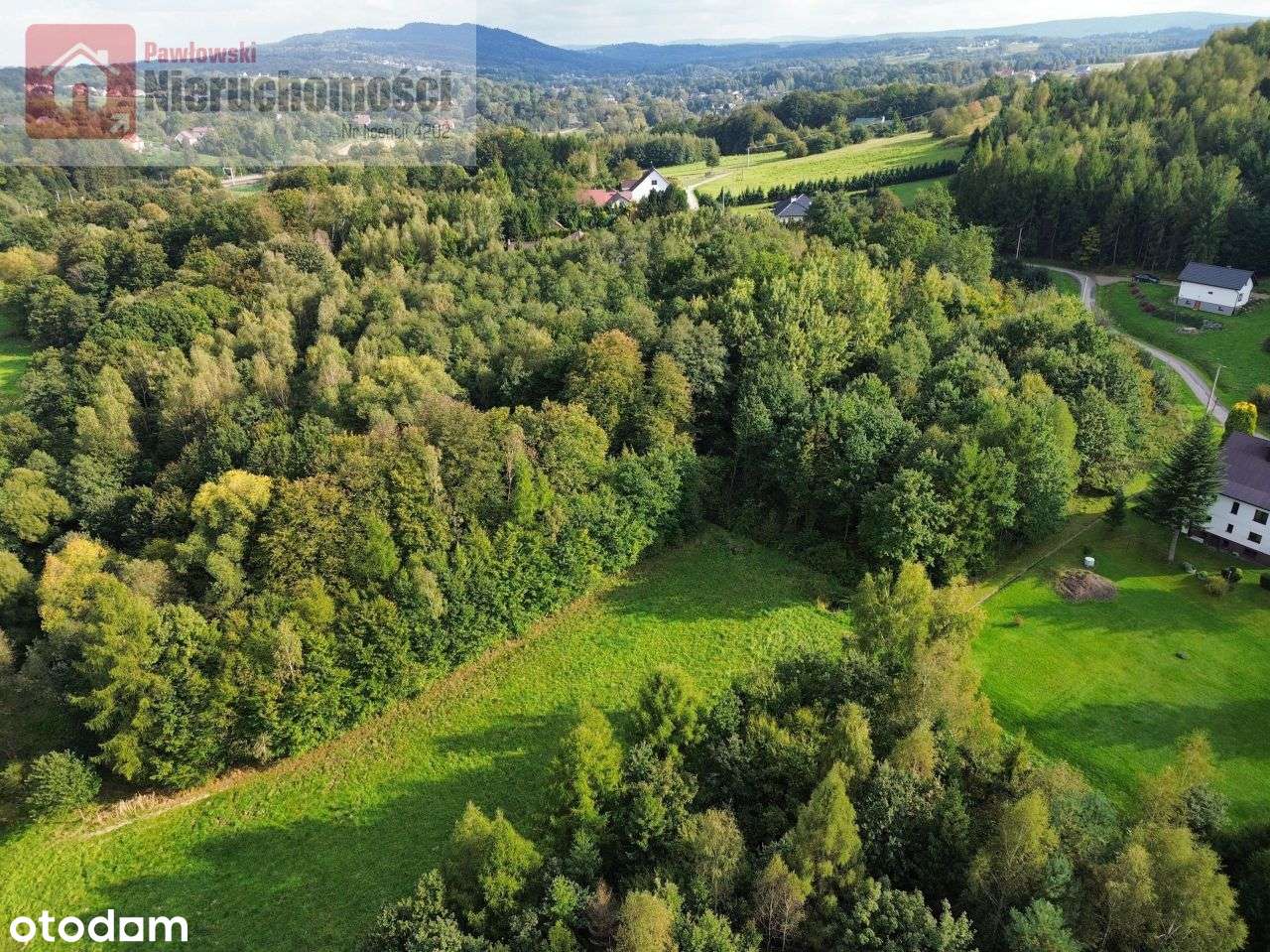 Duża działka z pięknym zadrzewieniem - Pełny obrazek: 4/17