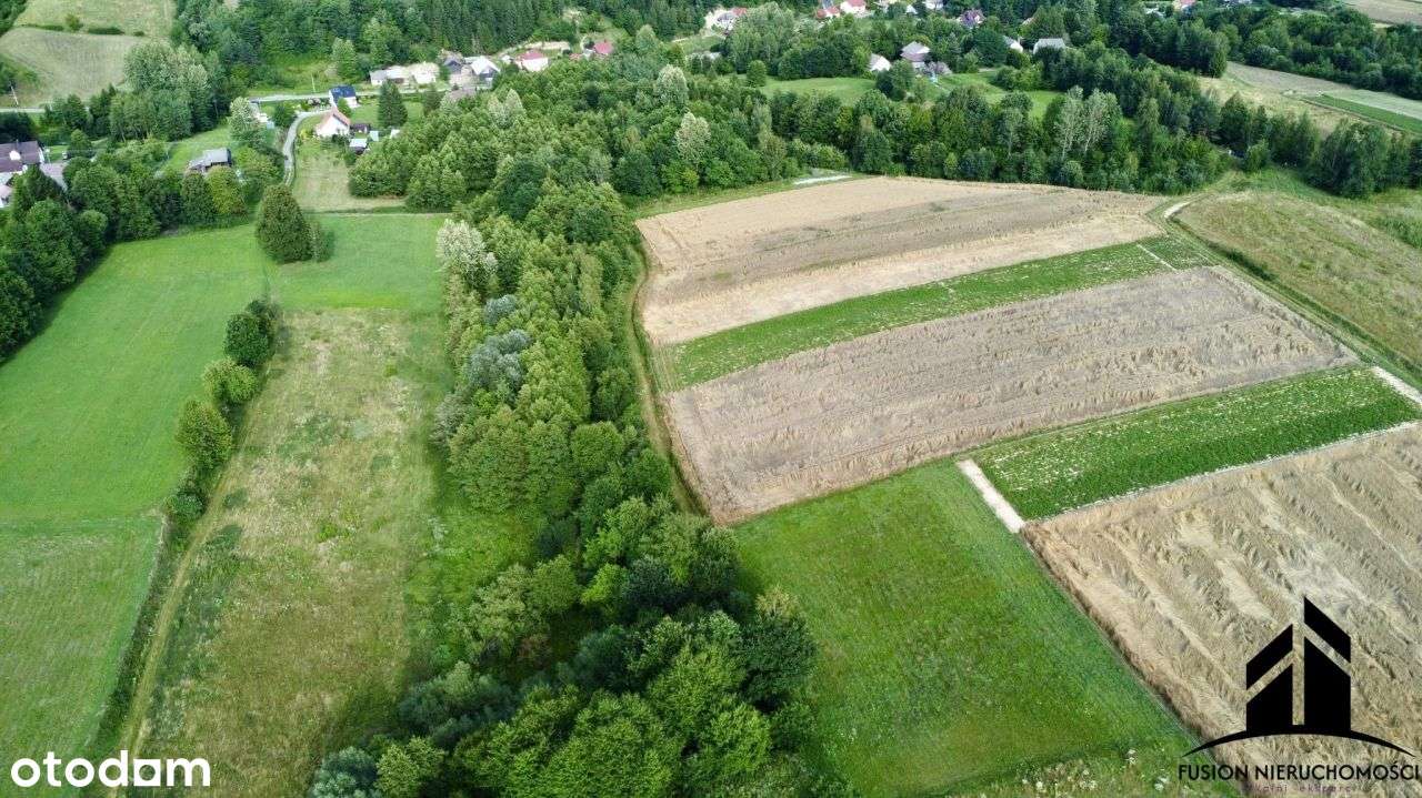 Urokliwa działka z potencjałem | 7842 m² | Łubno,-11