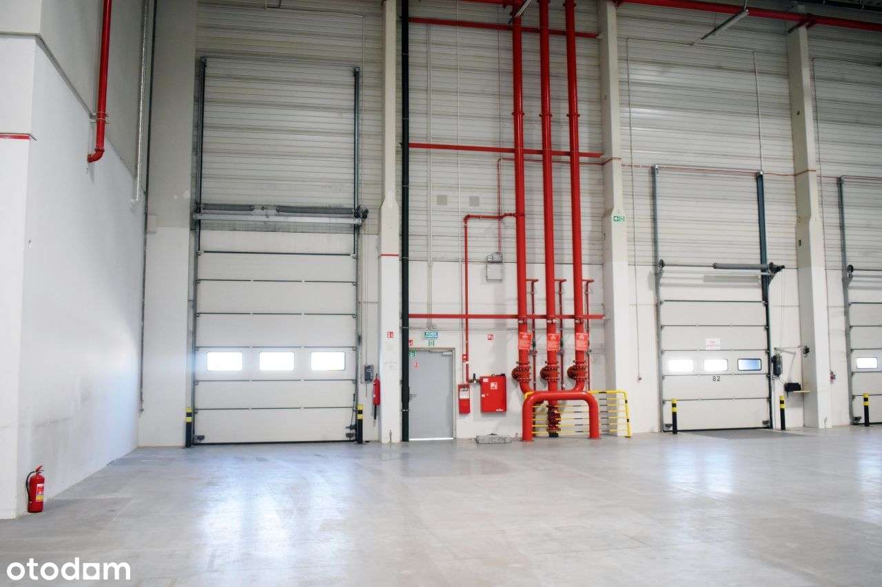 Hala produkcyjna/biura socjal-od zaraz-bez prowizj - Pełny obrazek: 4/5