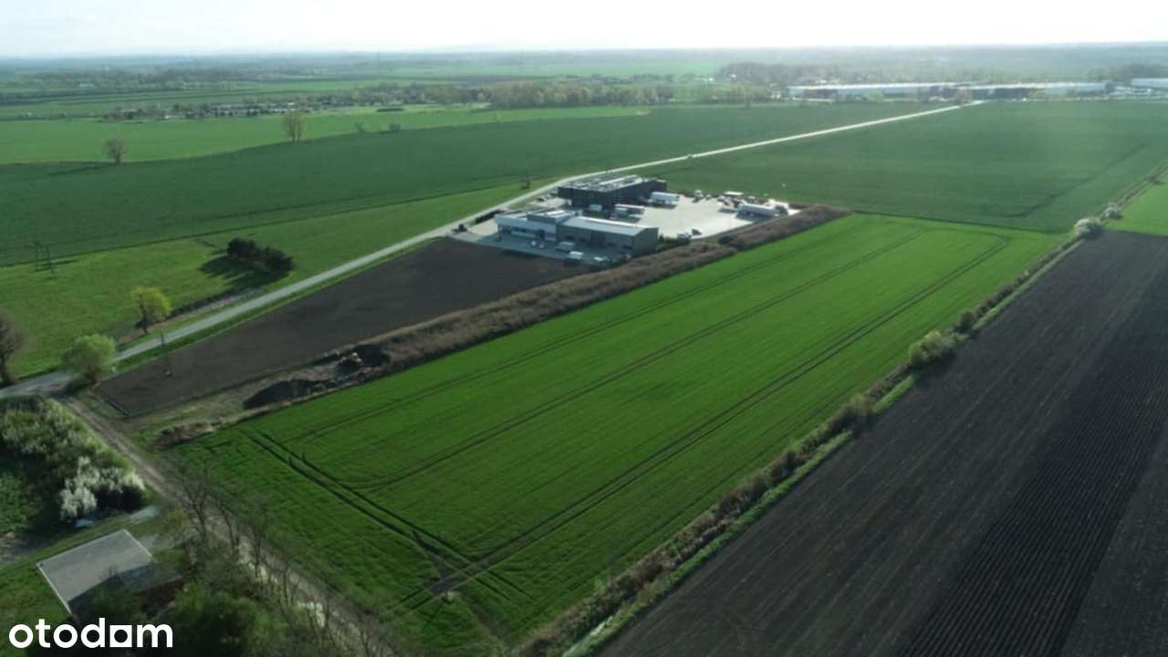 Działka 6000 m2 Milejowice / Krajków / Żórawina obok A4 Usługowa (U) - Pełny obrazek: 4/12