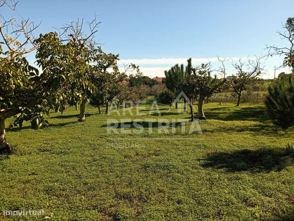 QUINTA COM MORADIA - Sesimbra - Grande imagem: 5/31