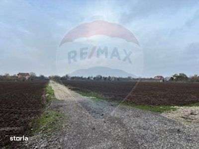 Teren Vladiceasca / Soseaua Vladiceasca 1109 mp Liziera Padurii-1