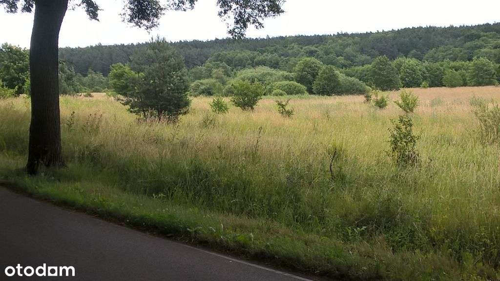 Działka, 1 000 m², Kwidzyn - Pełny obrazek: 1/3