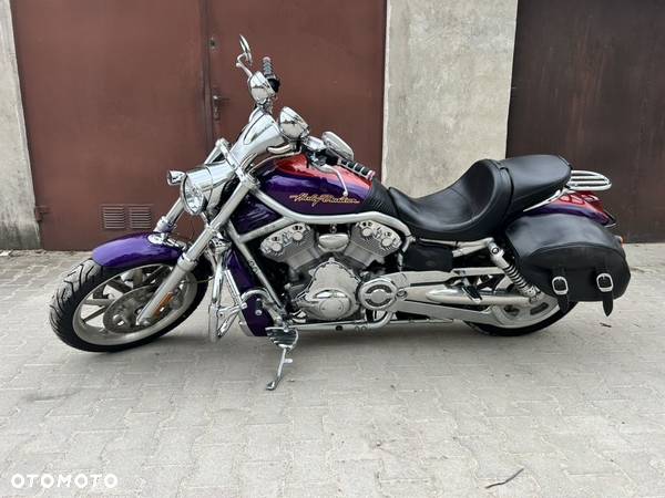 Harley-Davidson Softail V-Rod - 8