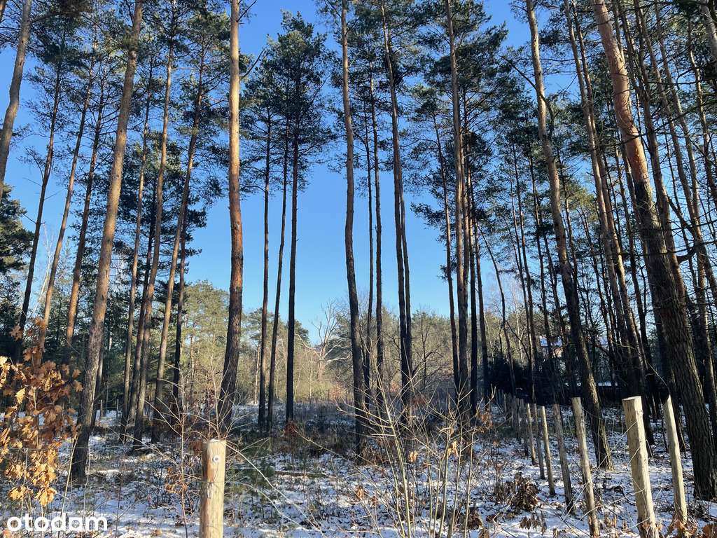 Działka róg Wolęcińskiej/Marty, Warszawa Radość - Pełny obrazek: 3/15