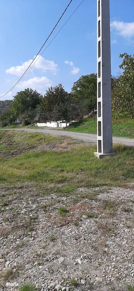 Parcele teren, Podgoria, 1200 mp-1