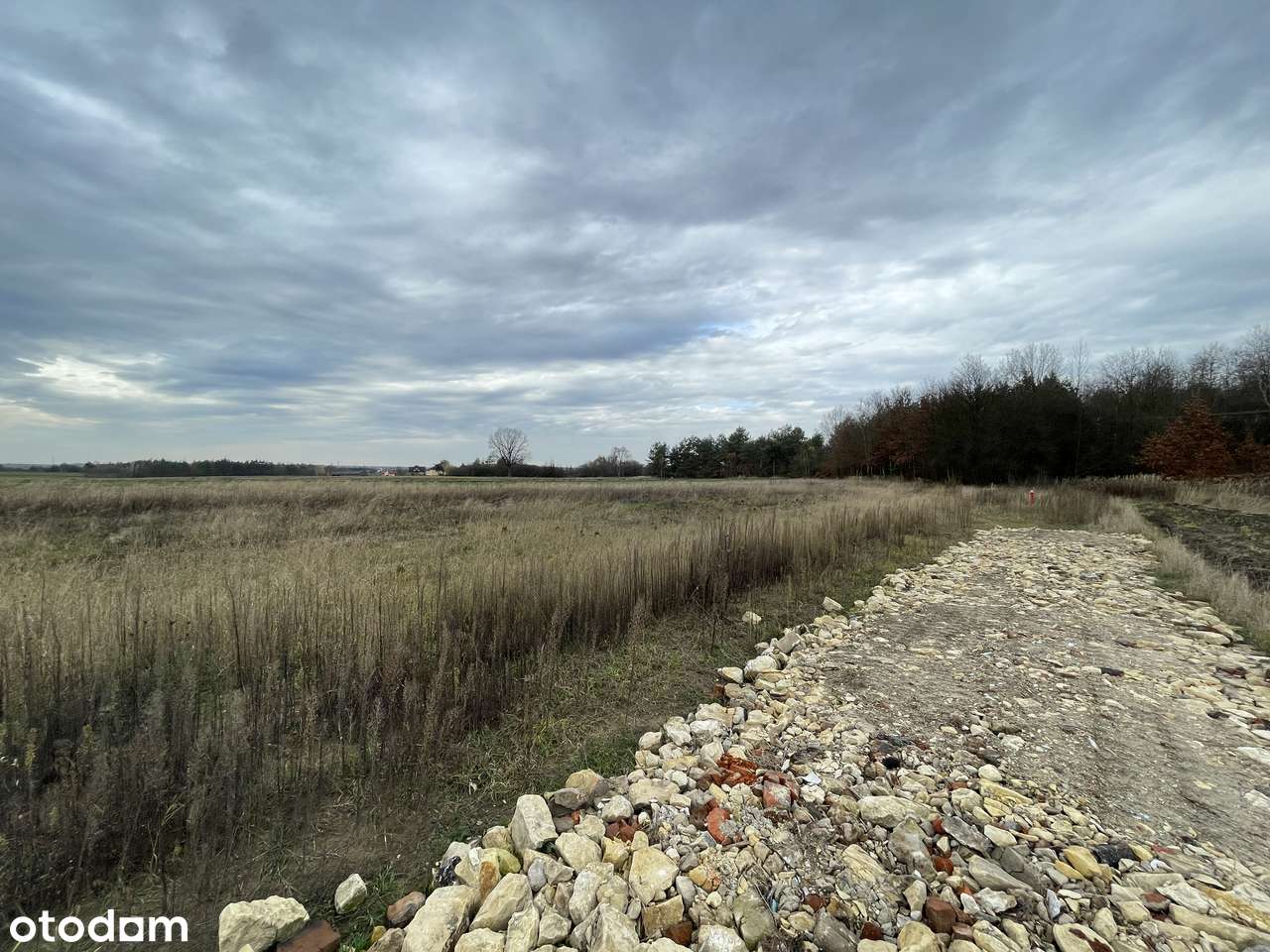 WZ | Woda, prąd, kanalizacja | JuraPark | Utwardzony dojazd | Kwadrat - Pełny obrazek: 4/17