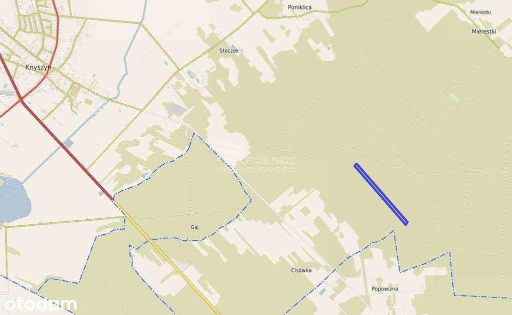 Działka leśna pod Knyszynem - Pełny obrazek: 5/7