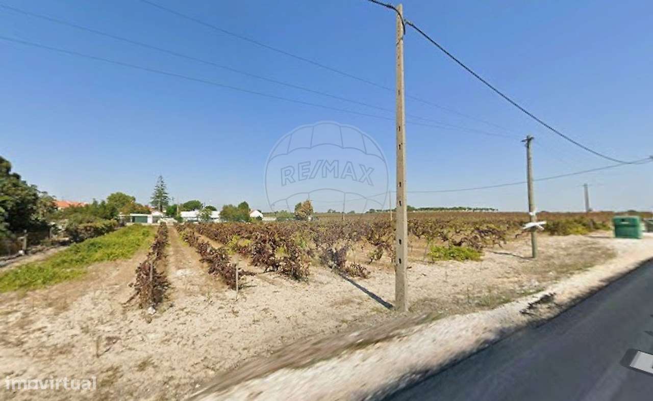 Terreno  para venda - Grande imagem: 3/4