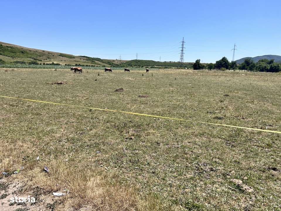 Teren Intravilan central in Sarata  parcele 700 mp - Imagine principală: 5/6