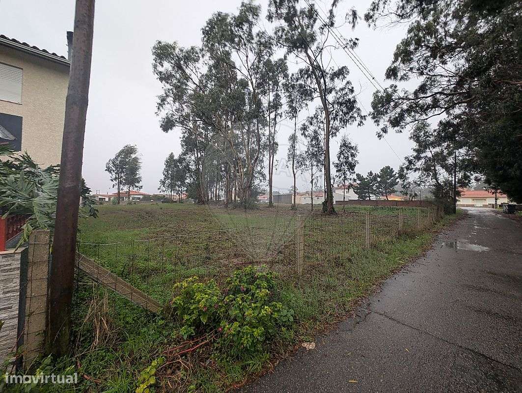 Terreno  para venda - Grande imagem: 5/14